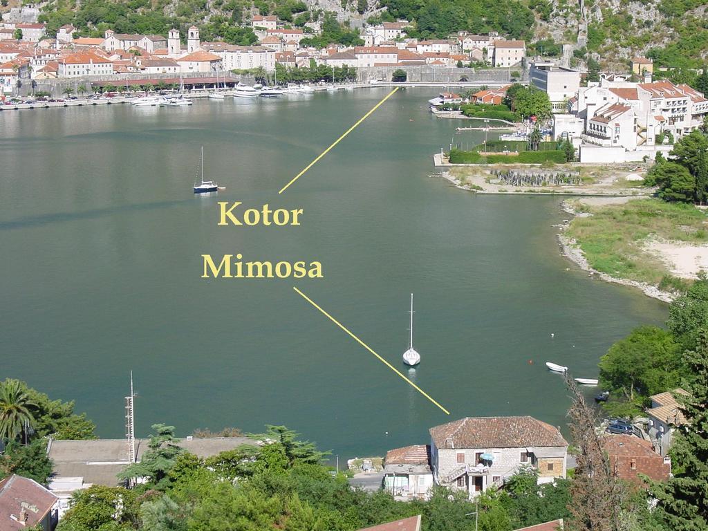 Apartment Mimosa Kotor Quarto foto