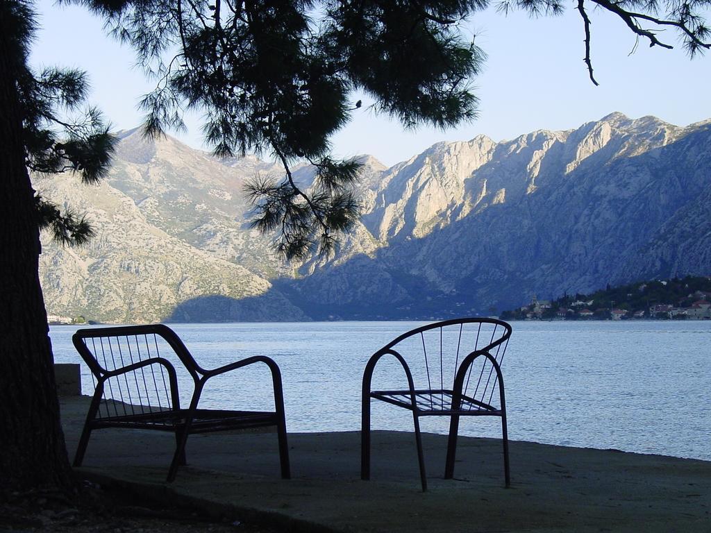 Apartment Mimosa Kotor Quarto foto